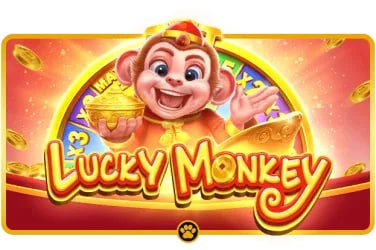 video thumbnail video thumbnail